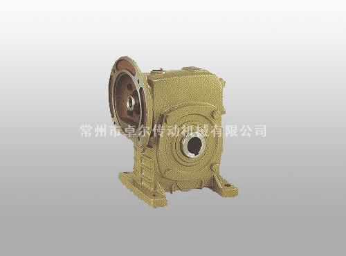 WPDKS蝸輪蝸桿減速機(jī)